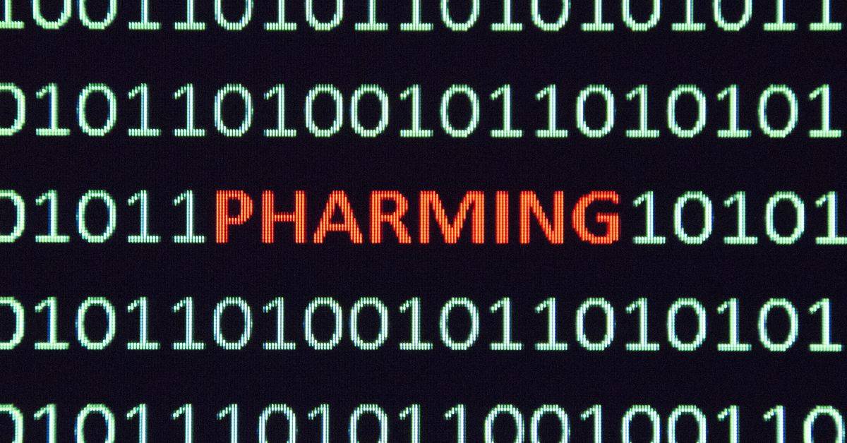 Pharming – cicha kradzież tożsamości. Jak nie dać się złapać w pułapkę fałszywych stron?